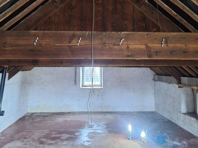 woodworm-treatment-services-9-kireth-ai